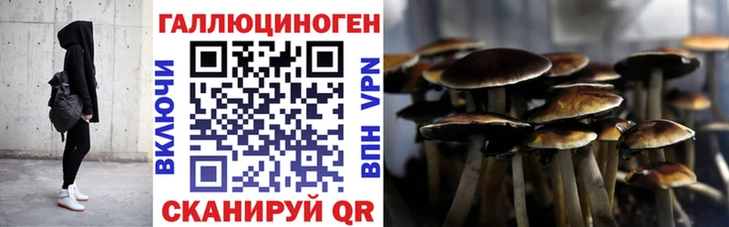 цена   Магадан  Псилоцибиновые грибы прущие грибы 